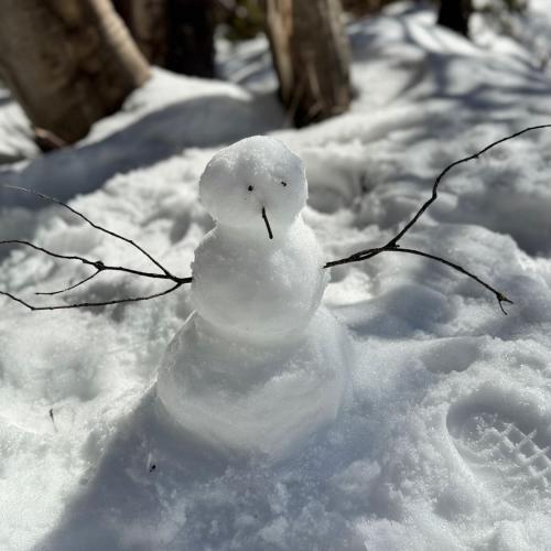 สมาชิกหมายเลข 2280302