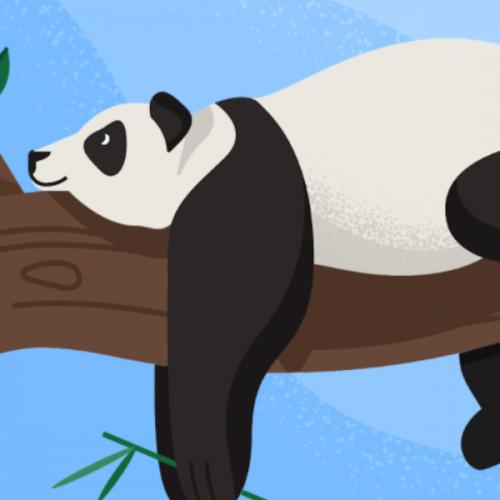 สมาชิกหมายเลข 3565314