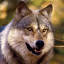 สมาชิกหมายเลข 1182865