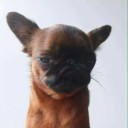 สมาชิกหมายเลข 3764793