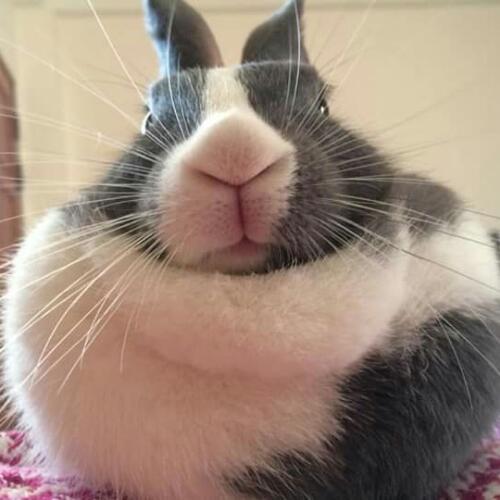 สมาชิกหมายเลข 3703966