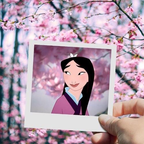 สมาชิกหมายเลข 4977966