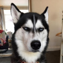 สมาชิกหมายเลข 3992743