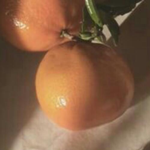 สมาชิกหมายเลข 5372594