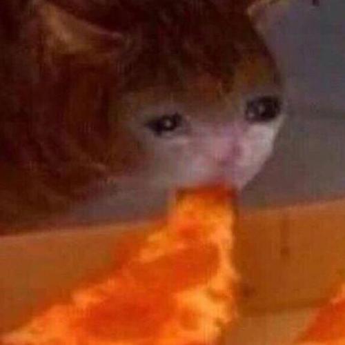 สมาชิกหมายเลข 3368656