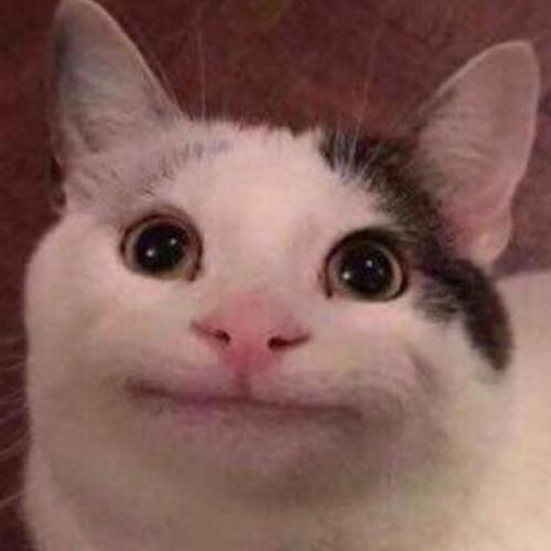 สมาชิกหมายเลข 5246628