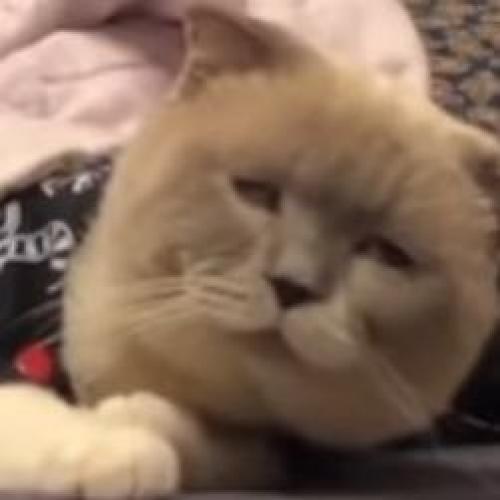 สมาชิกหมายเลข 5285548