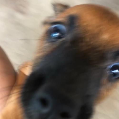 สมาชิกหมายเลข 7169668