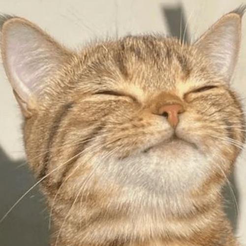 สมาชิกหมายเลข 5001629