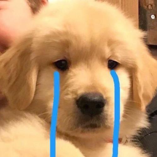 สมาชิกหมายเลข 5186067