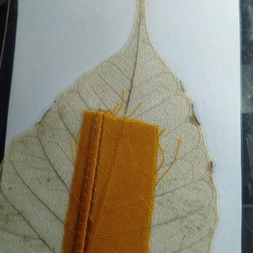 สมาชิกหมายเลข 6100297