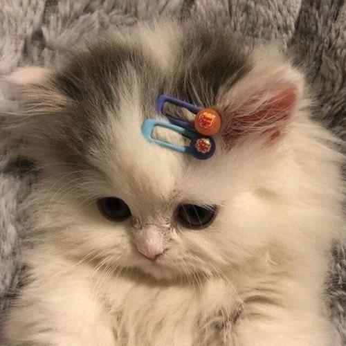 สมาชิกหมายเลข 7514960