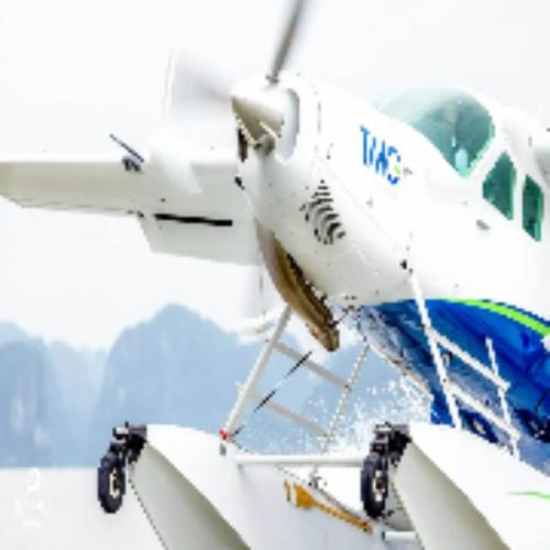 สมาชิกหมายเลข 8995818