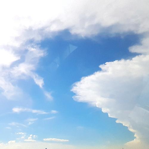 มนุษย์หมูตัวกลม