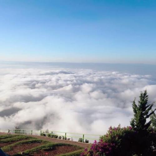 สมาชิกหมายเลข 2534230