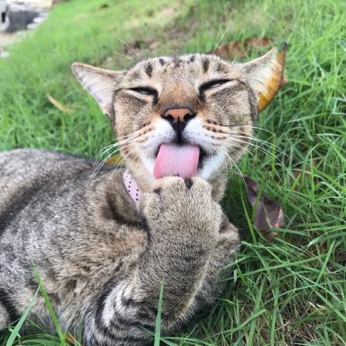 สมาชิกหมายเลข 2580815