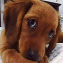 สมาชิกหมายเลข 5371670