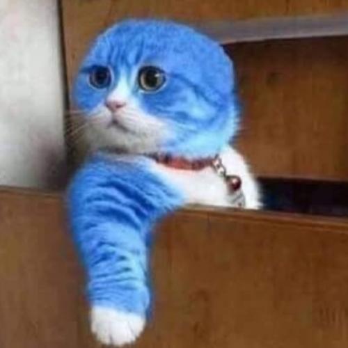 สมาชิกหมายเลข 883436