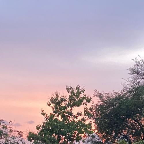 สมาชิกหมายเลข 5336427