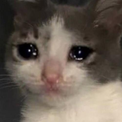 สมาชิกหมายเลข 6466854