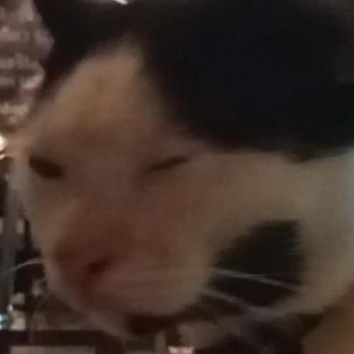 สมาชิกหมายเลข 6993308