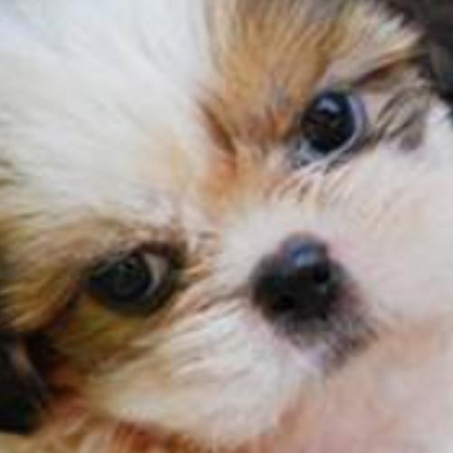 สมาชิกหมายเลข 3702184