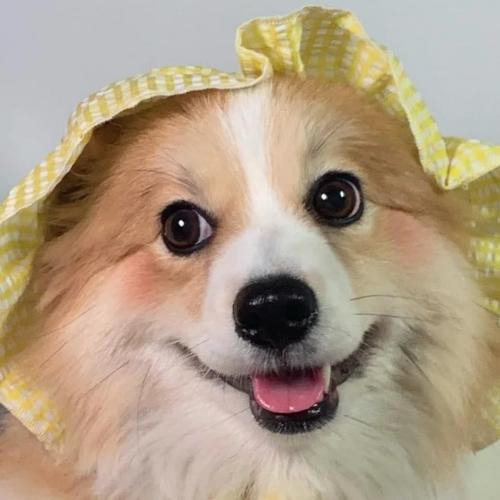 สมาชิกหมายเลข 7968333