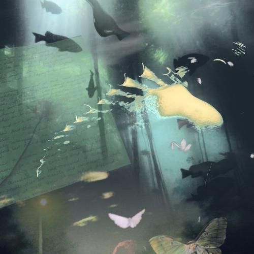 สมาชิกหมายเลข 7968338