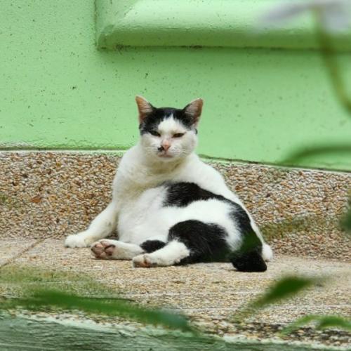 สมาชิกหมายเลข 7935820