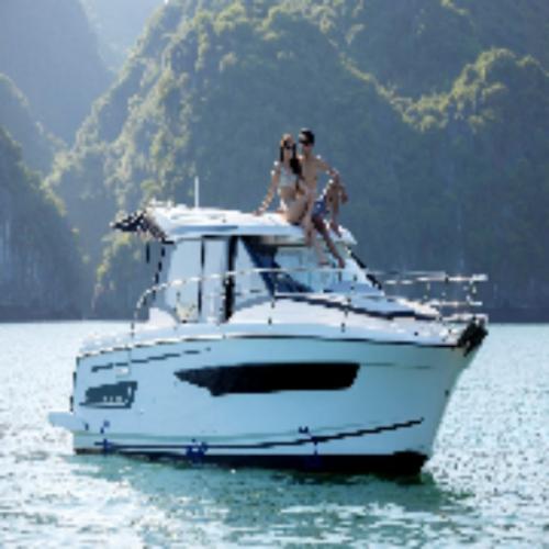 สมาชิกหมายเลข 8996282