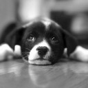 สมาชิกหมายเลข 3754806