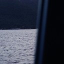 สมาชิกหมายเลข 4231728