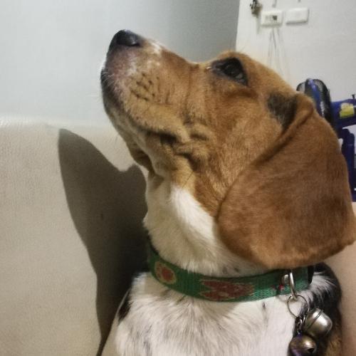 สมาชิกหมายเลข 1133060