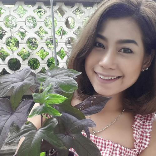 สมาชิกหมายเลข 4120392