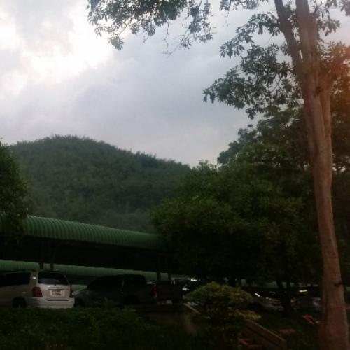 สมาชิกหมายเลข 4846691