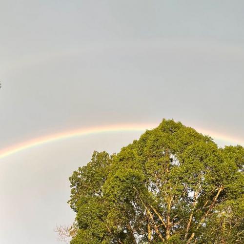 สมาชิกหมายเลข 3928033