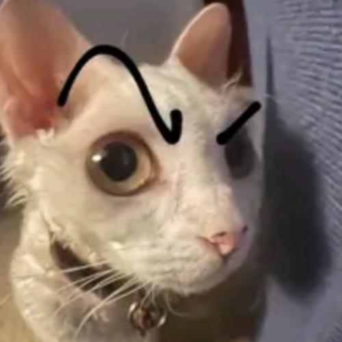 สมาชิกหมายเลข 7903301