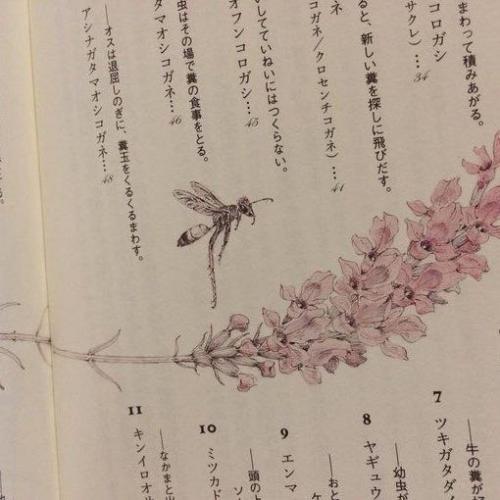 สมาชิกหมายเลข 7969420