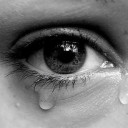 สมาชิกหมายเลข 4368981