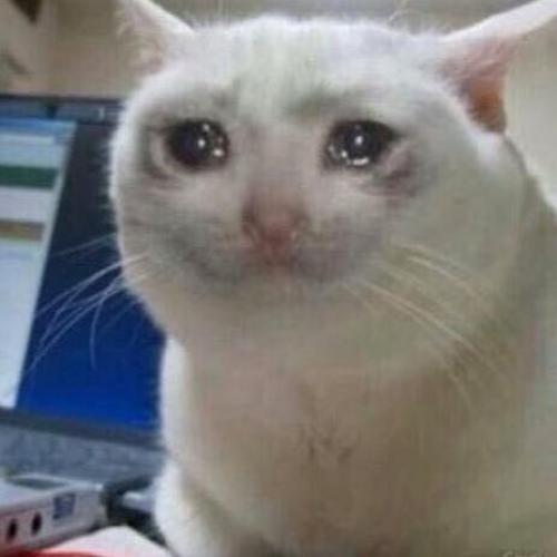 สมาชิกหมายเลข 4457501