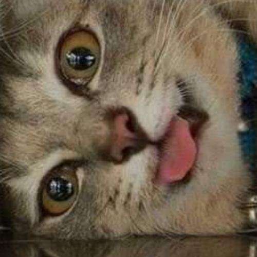 สมาชิกหมายเลข 3827461