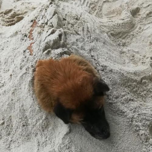 สมาชิกหมายเลข 5208075