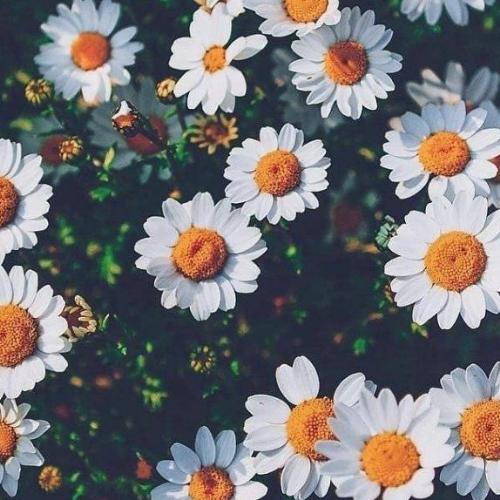 สมาชิกหมายเลข 5864681