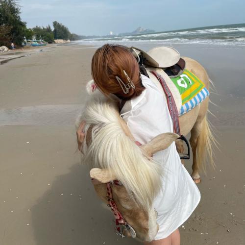 สมาชิกหมายเลข 7923033