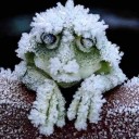 สมาชิกหมายเลข 4232505