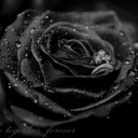 สมาชิกหมายเลข 4232702