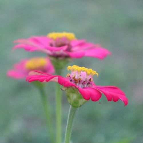 สมาชิกหมายเลข 928381