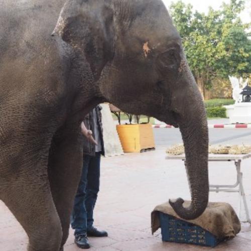 สมาชิกหมายเลข 4424033