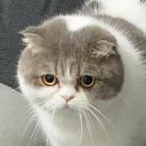 สมาชิกหมายเลข 3962637