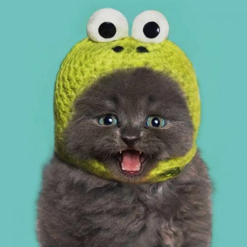 สมาชิกหมายเลข 5791793